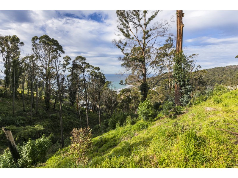 26 Karingal Drive, Wye River VIC 3221
