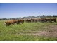 25 Collyers Road, Warncoort VIC 3243