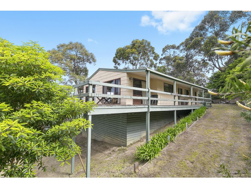 15 Allen Street, Lorne VIC 3232