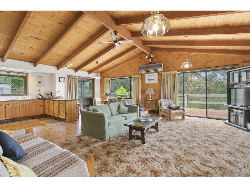 15 Allen Street, Lorne VIC 3232