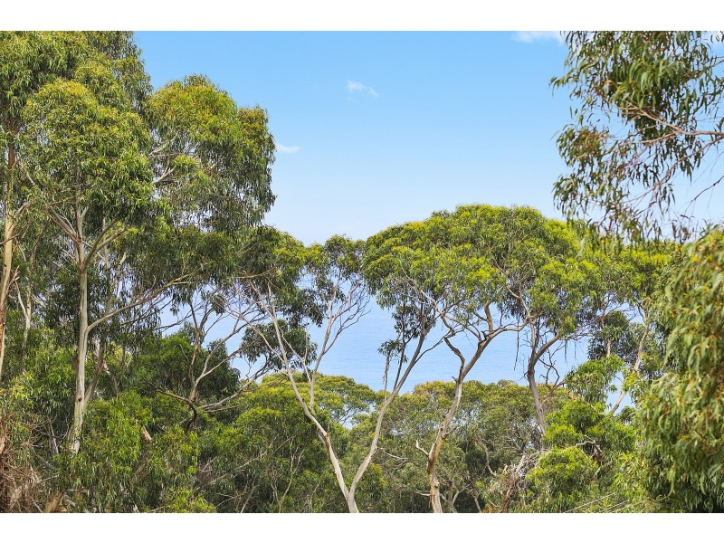 15 Allen Street, Lorne VIC 3232