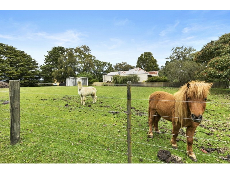 1125 Winchelsea – Deans Marsh Road, Bambra VIC 3241