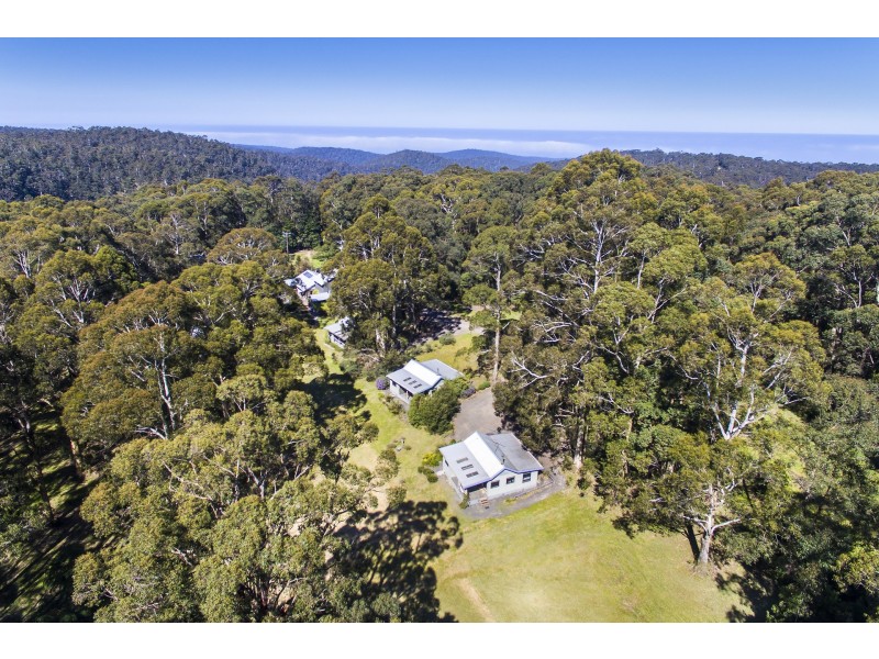 1480 Deans Marsh Road, Lorne VIC 3232