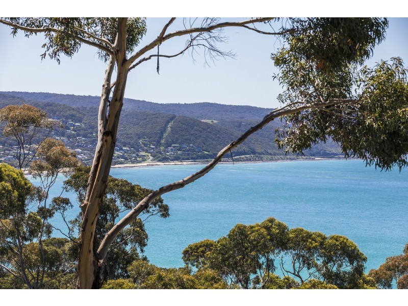 68 Charles Street, Lorne VIC 3232