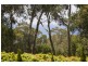 41  Howard Street, Lorne VIC 3232