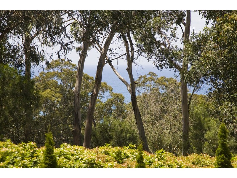 41  Howard Street, Lorne VIC 3232