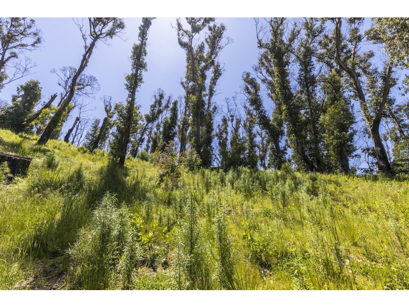 63 Karingal Drive, Wye River VIC 3221