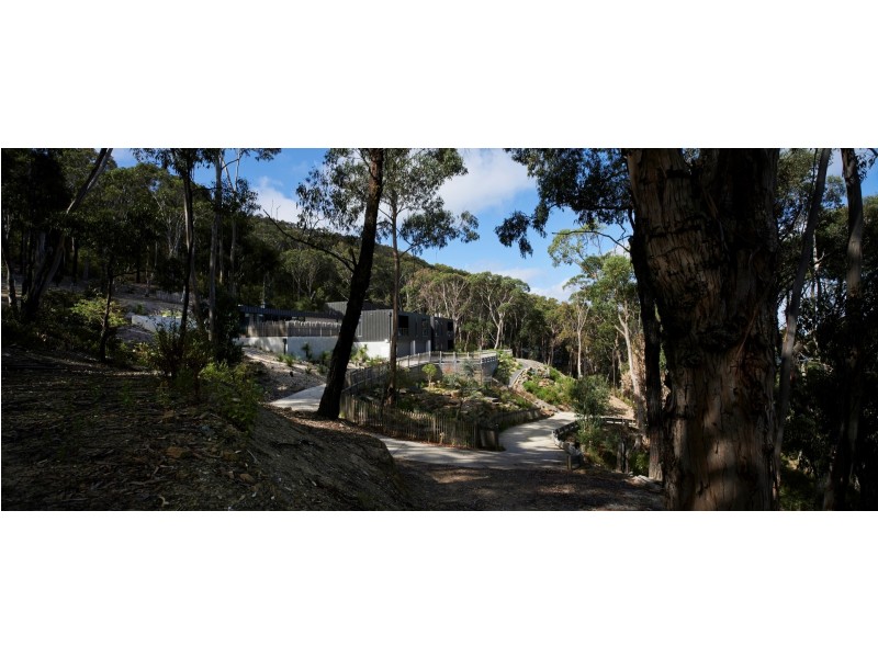 1200 Great Ocean Road, Big Hill VIC 3231