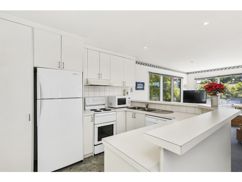 15 Deans Marsh Road, Lorne VIC 3232