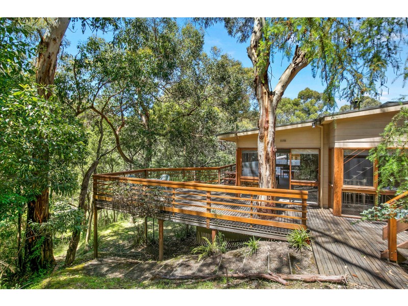 18 Richardson Boulevard, Lorne VIC 3232