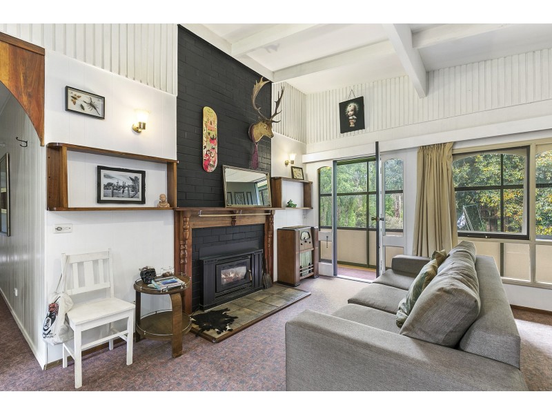 55 Grant Street, Forrest VIC 3236