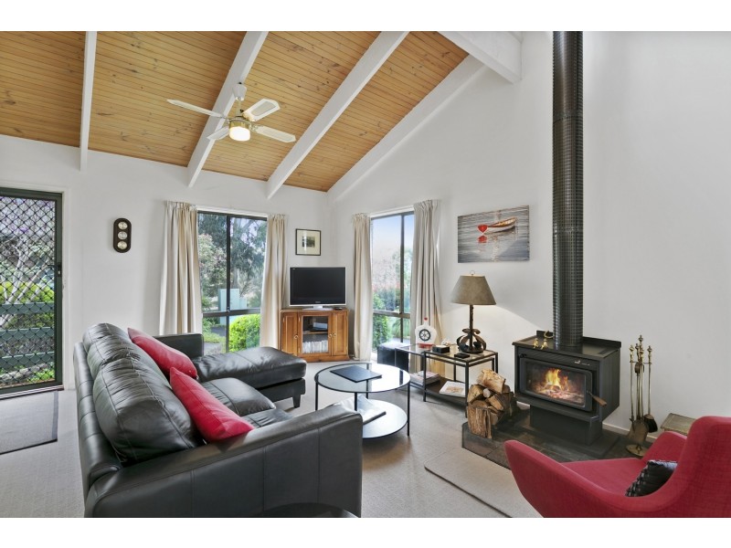 1/11-13 Belvedere Terrace, Lorne VIC 3232