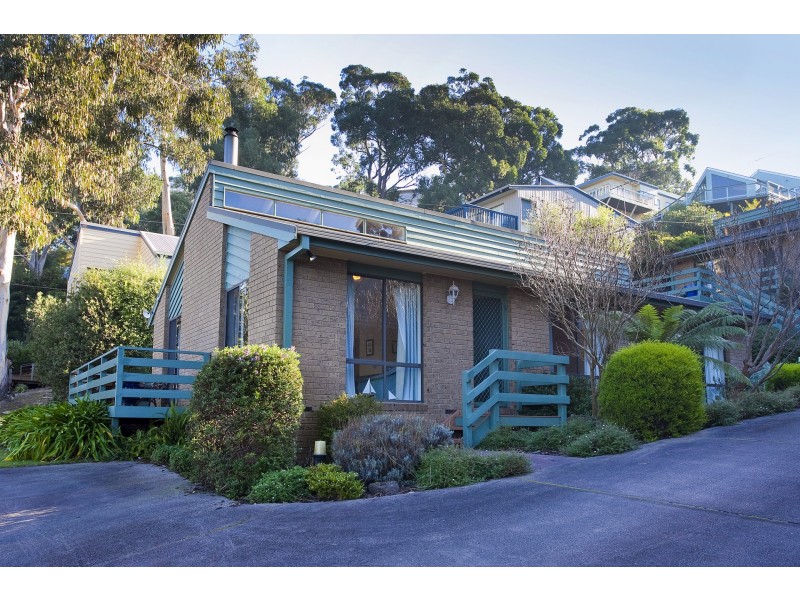 1/11-13 Belvedere Terrace, Lorne VIC 3232