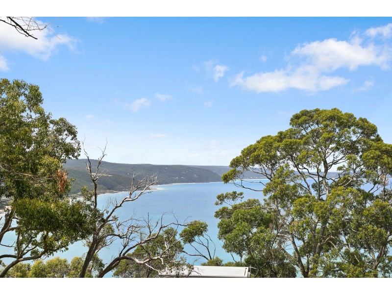 47 George Street, Lorne VIC 3232