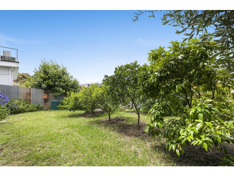 40 Dorman Street, Lorne VIC 3232