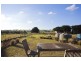 1371 Birregurra-Deans Marsh Road, Deans Marsh VIC 3235