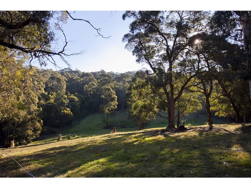 1700 Deans Marsh Road, Lorne VIC 3232
