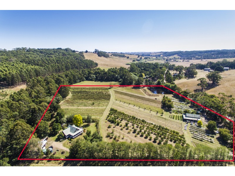 520 Pennyroyal Valley Road, Pennyroyal VIC 3235