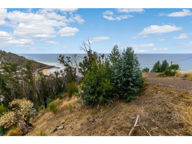 8 Dunoon Road, Wye River VIC 3221