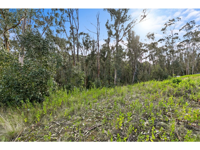 7 Mitchell Grove, Separation Creek VIC 3221