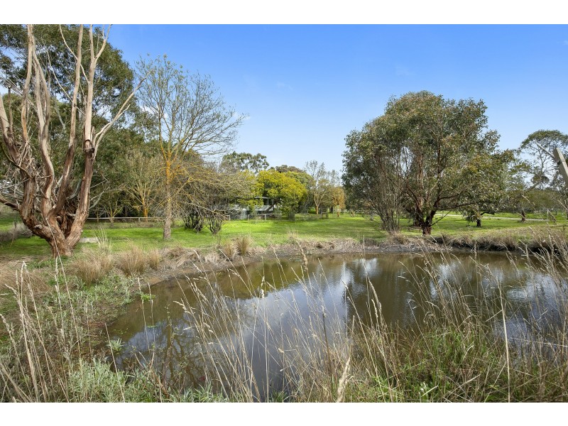 5 Aurel Road, Deans Marsh VIC 3235