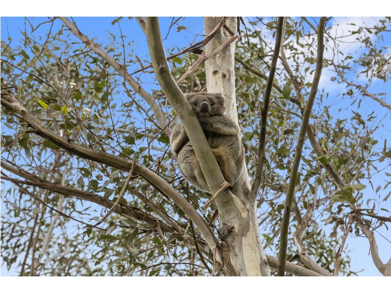 745 Bambra-Boonah Road, Boonah VIC 3235