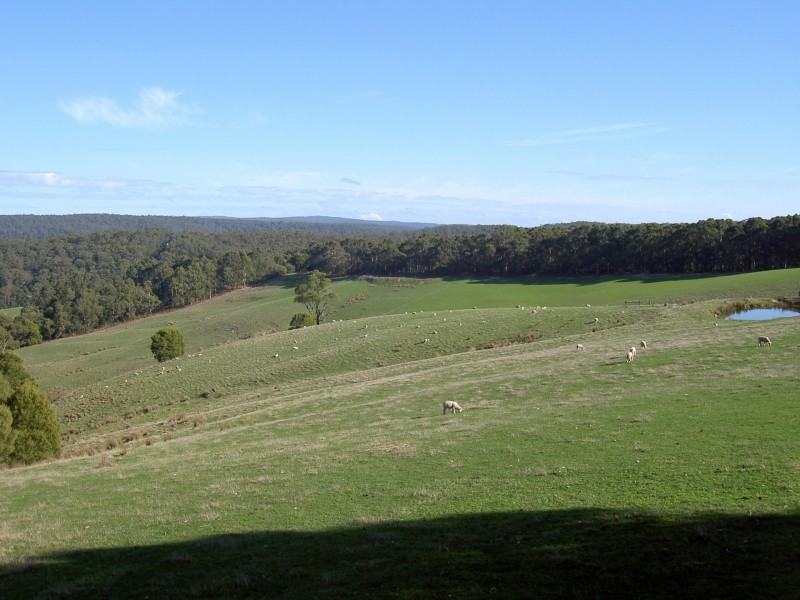 745 Bambra-Boonah Road, Boonah VIC 3235