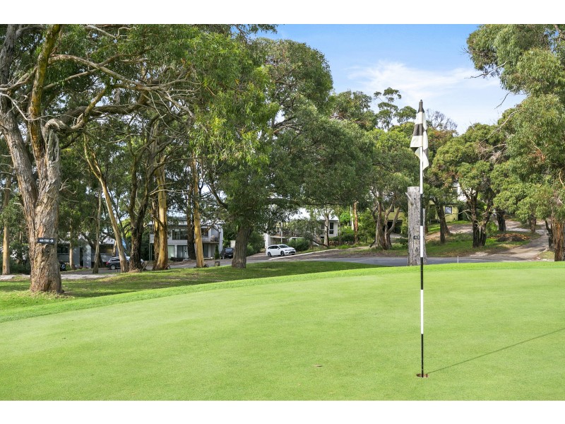 21 Holliday Road, Lorne VIC 3232