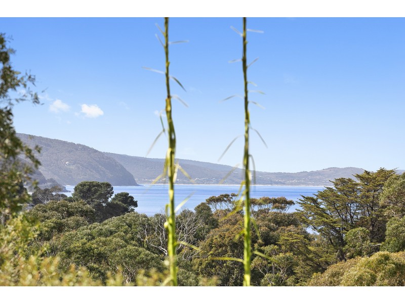 20/4 Smith Street, Lorne VIC 3232
