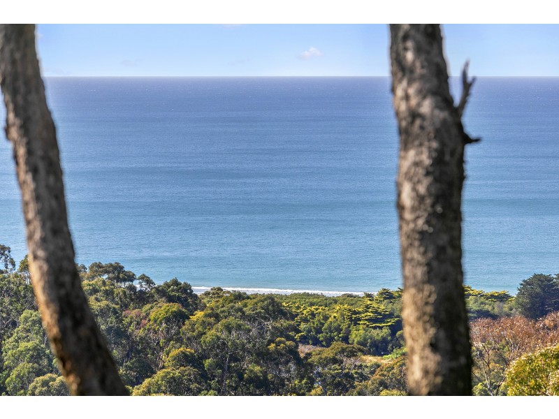 8 Heath Street, Lorne VIC 3232