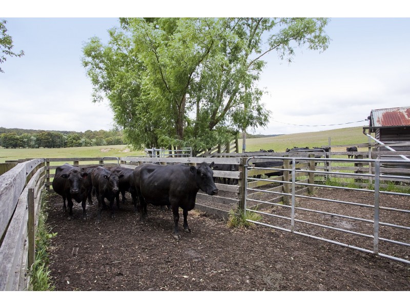 415 Pennyroyal Valley Road, Pennyroyal VIC 3235