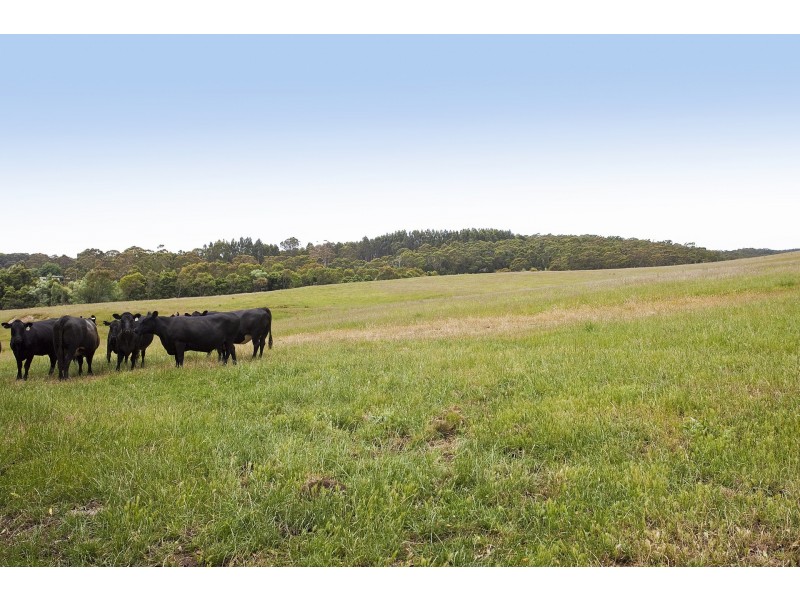 415 Pennyroyal Valley Road, Pennyroyal VIC 3235