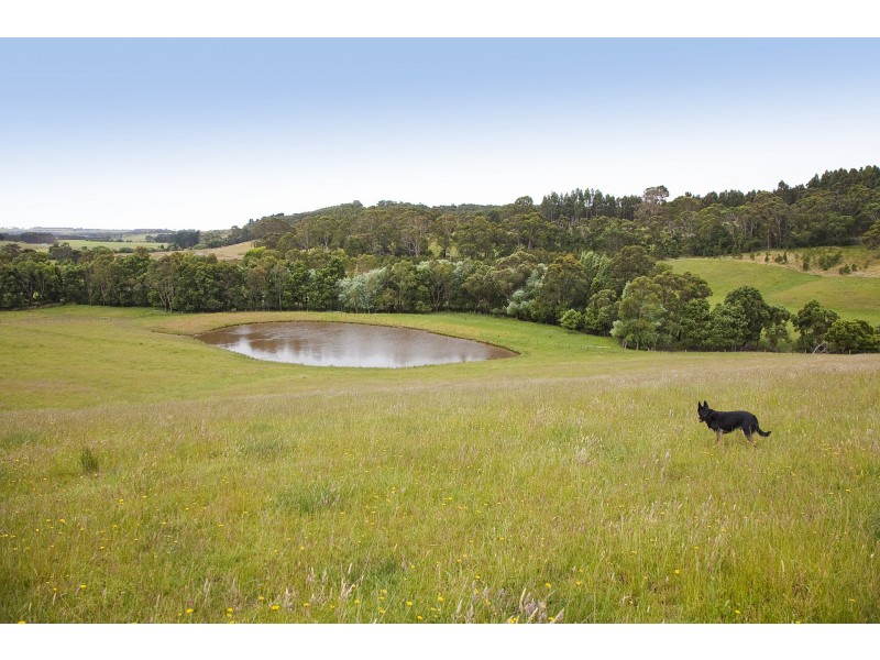 415 Pennyroyal Valley Road, Pennyroyal VIC 3235