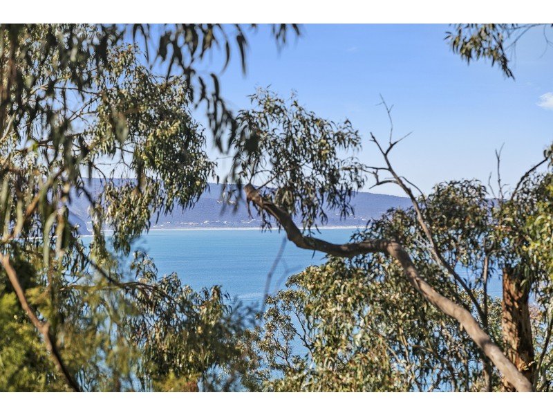 19 Alsop Street, Lorne VIC 3232