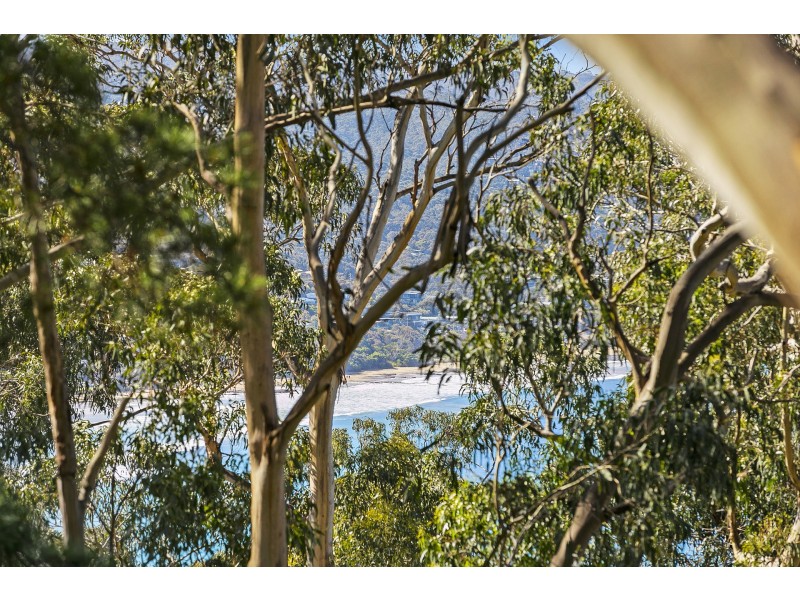 19 Alsop Street, Lorne VIC 3232