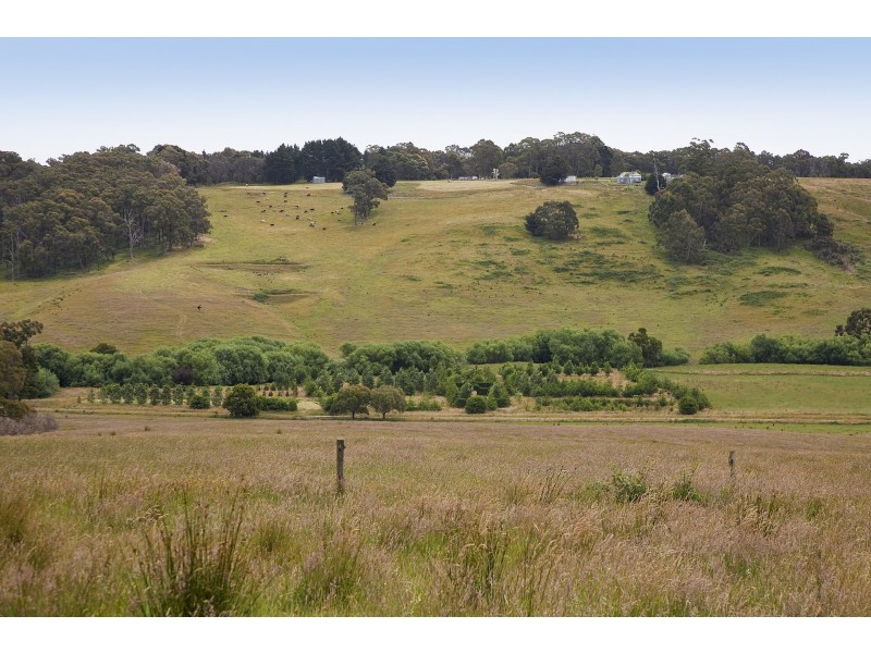 415 Pennyroyal Valley Road, Pennyroyal VIC 3235