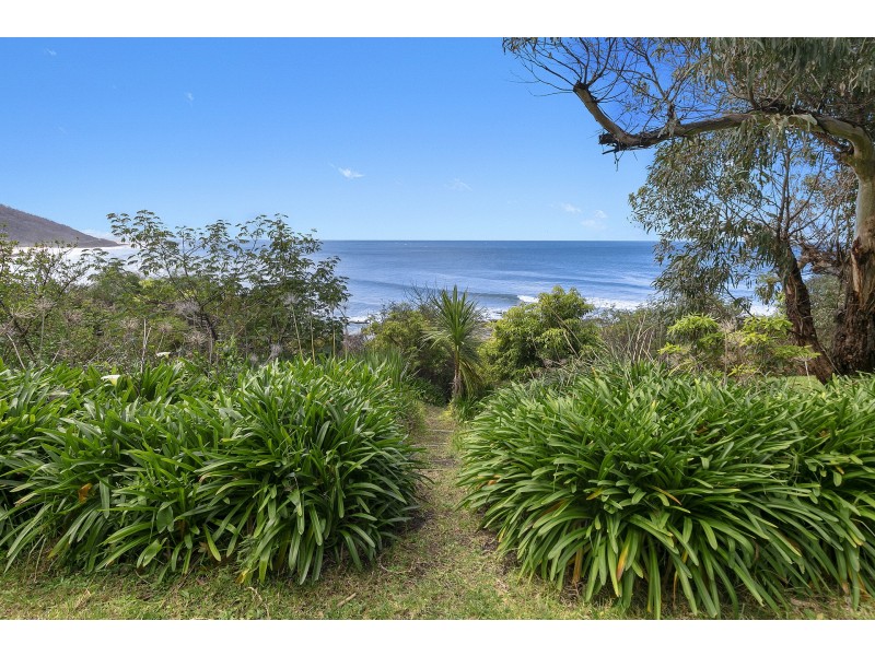 37 Morley Avenue, Wye River VIC 3221