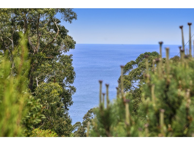 42 Ridge Drive, Kennett River VIC 3221