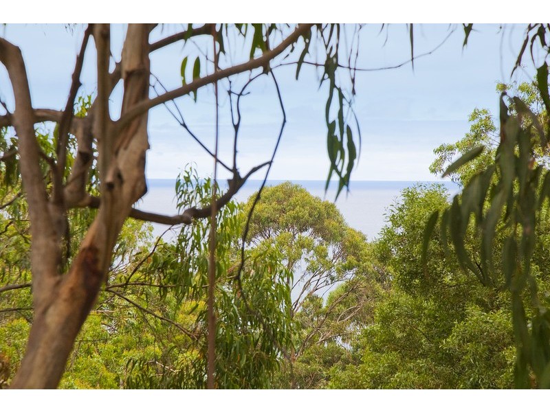 32 Ridge Drive, Kennett River VIC 3221