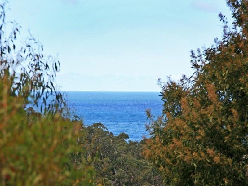 4 Gardiner Avenue, Lorne VIC 3232