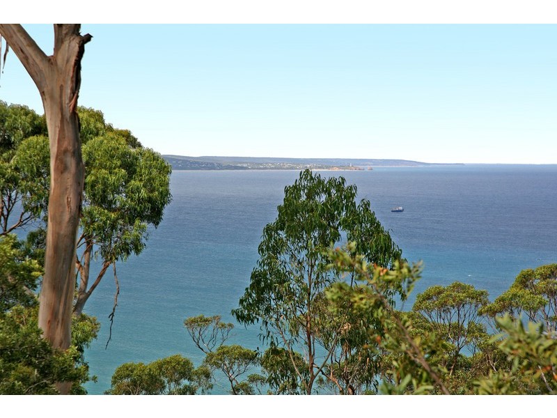 26 Francis Street, Lorne VIC 3232