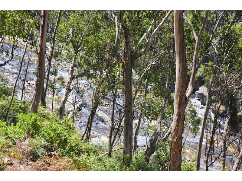 12 Gardiner Avenue, Lorne VIC 3232