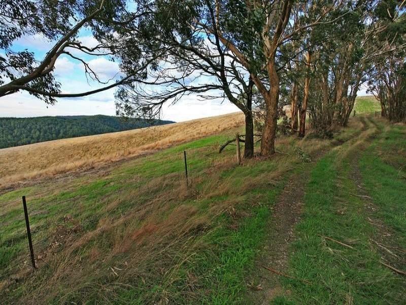 475 Lorne  Road, Deans Marsh VIC 3235