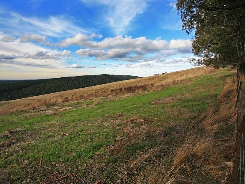 475 Lorne  Road, Deans Marsh VIC 3235