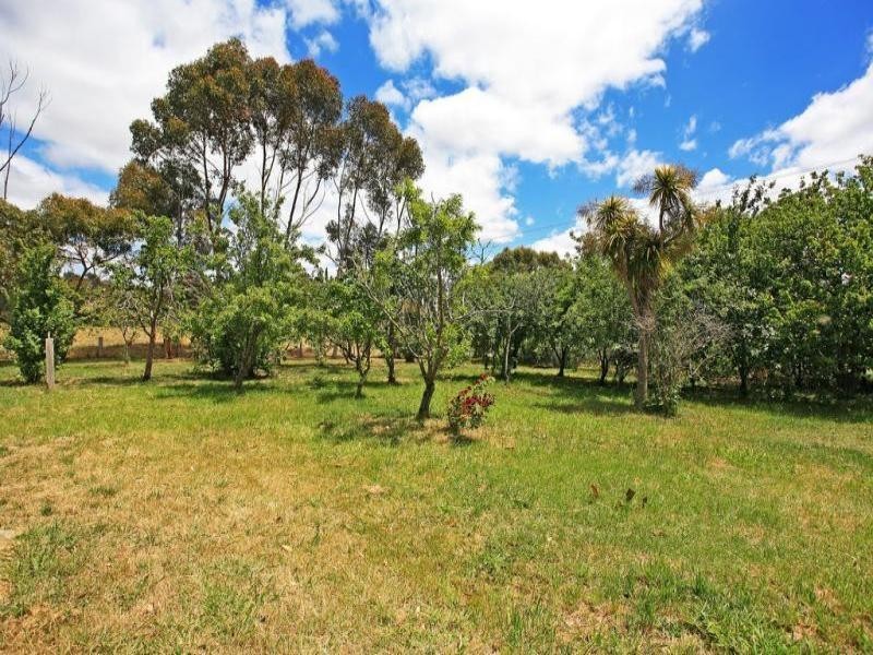 1250 Birregurra-Deans Marsh Road, Deans Marsh VIC 3235