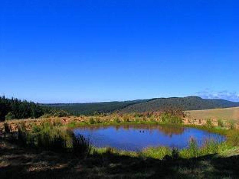 455 Deans Marsh Road, Deans Marsh VIC 3235