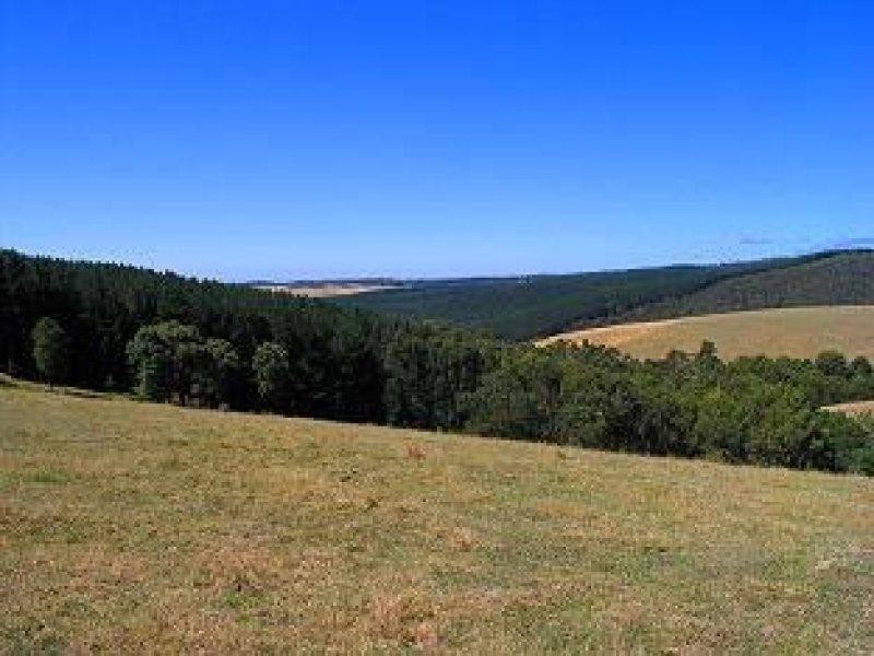 455 Deans Marsh Road, Deans Marsh VIC 3235