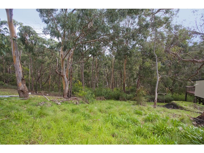 19 McRae Road, Wye River VIC 3221