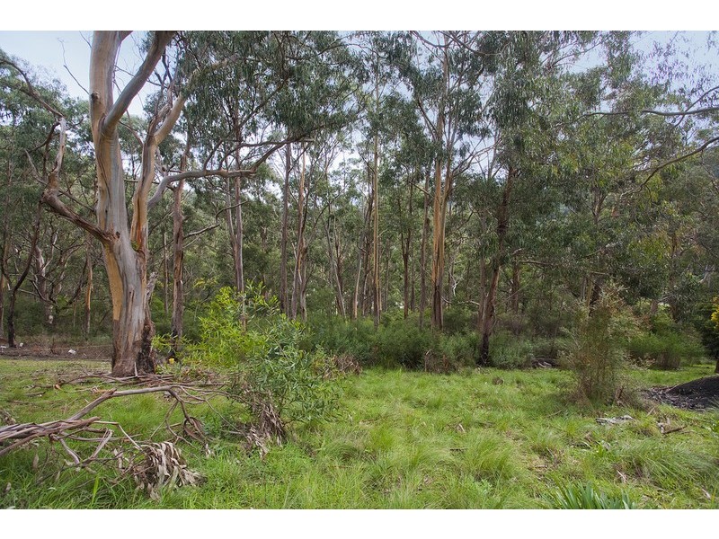 19 McRae Road, Wye River VIC 3221