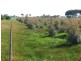 2 Unnamed Road, Cressy VIC 3322